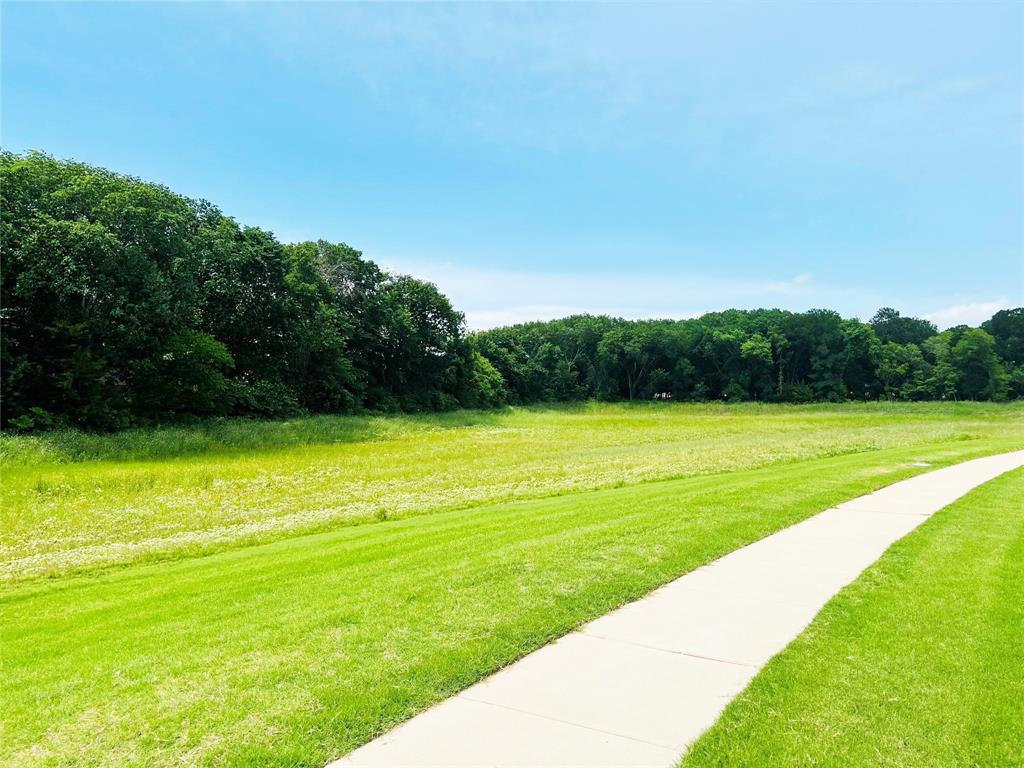 1709 Helmoken Falls Drive, Anna, TX 75409