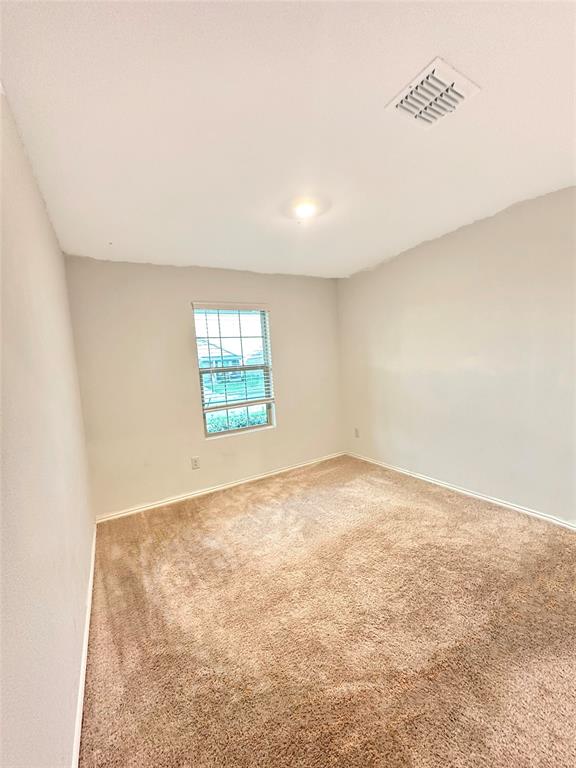 1709 Helmoken Falls Drive, Anna, TX 75409