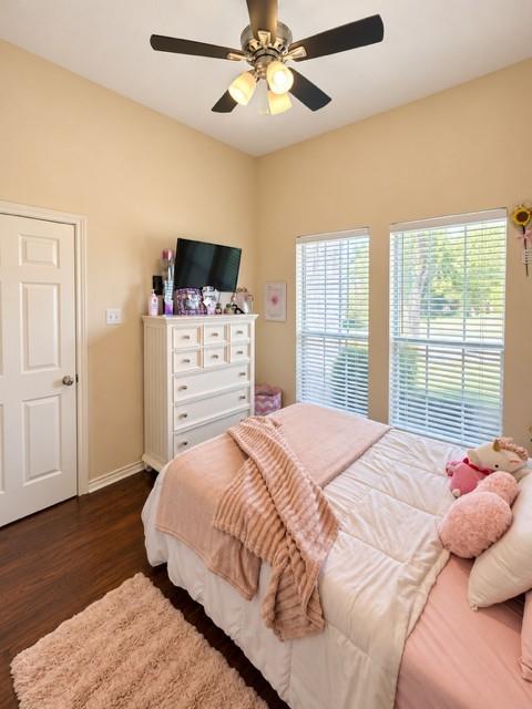 wood flooring ceiling fan natural light