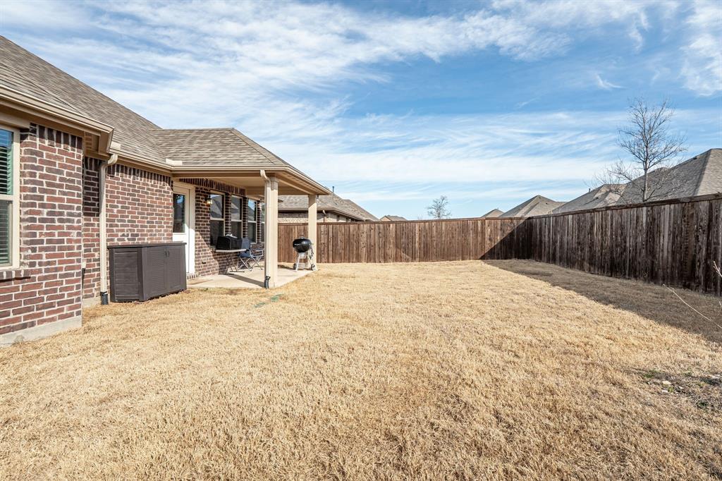 Back yard