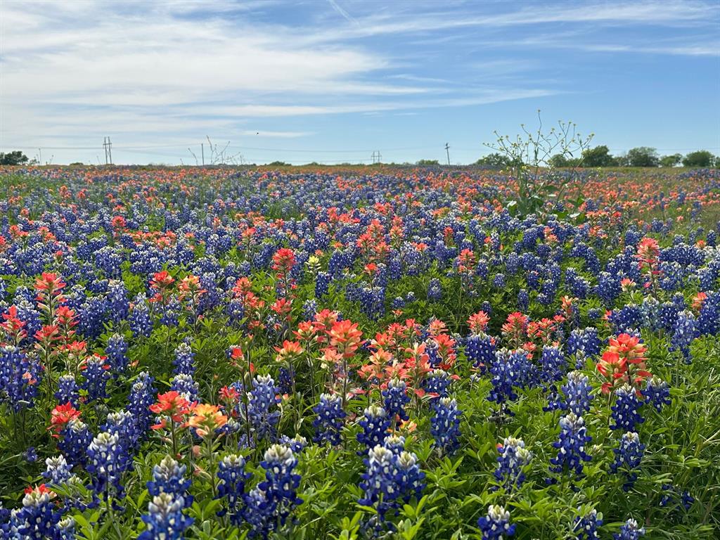 00 000 Fm-660, Ennis, TX 75119