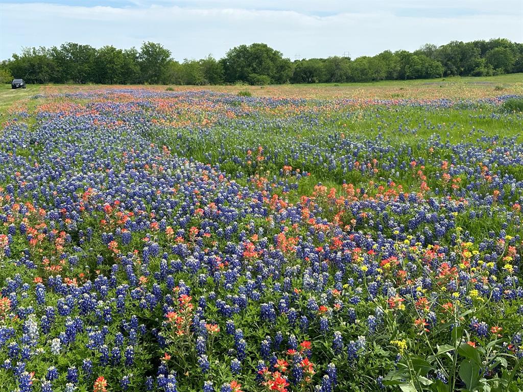 00 00 Fm-660, Ennis, TX 75119