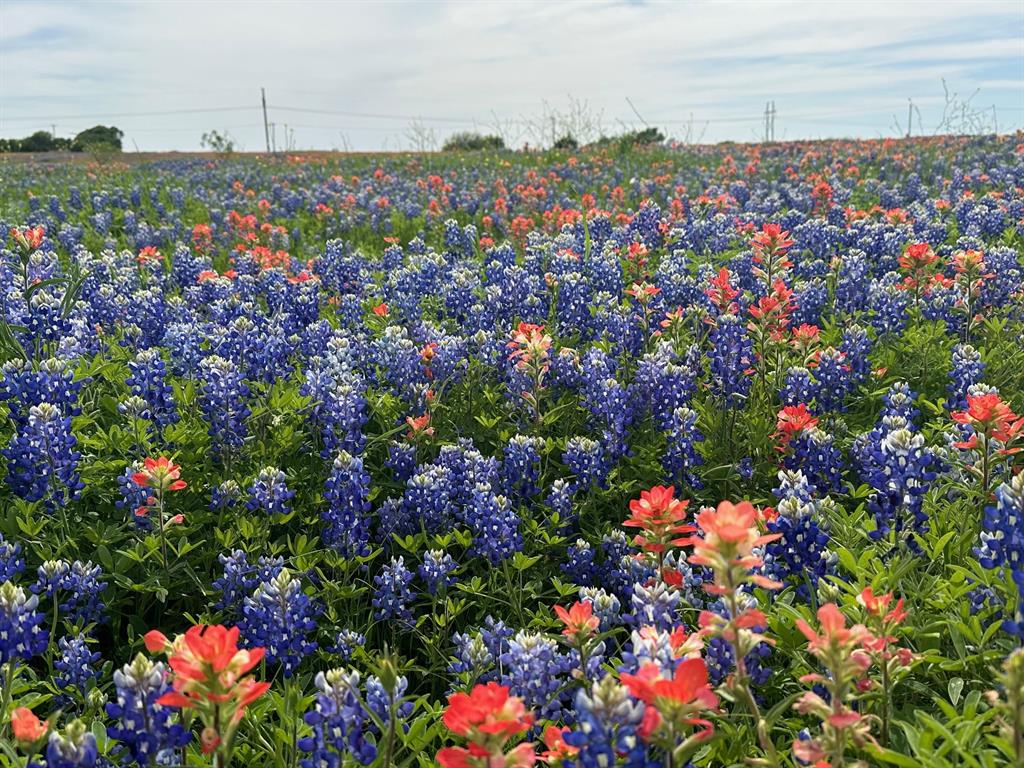 00 0 Fm-660, Ennis, TX 75119