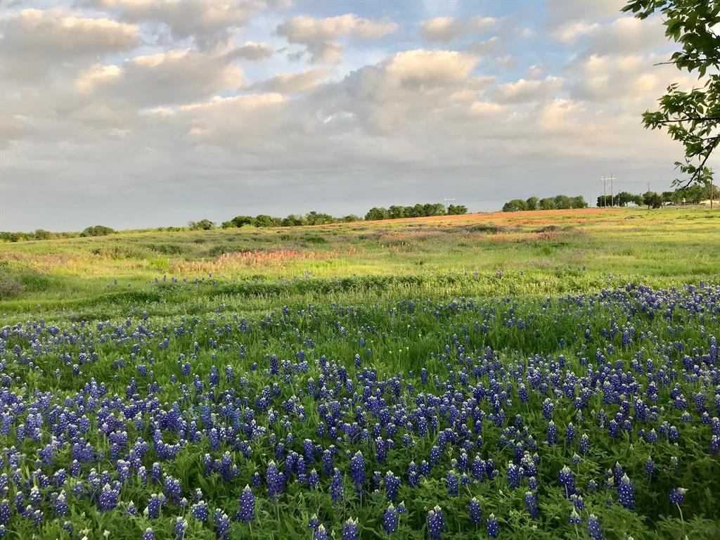 00 0 Fm-660, Ennis, TX 75119