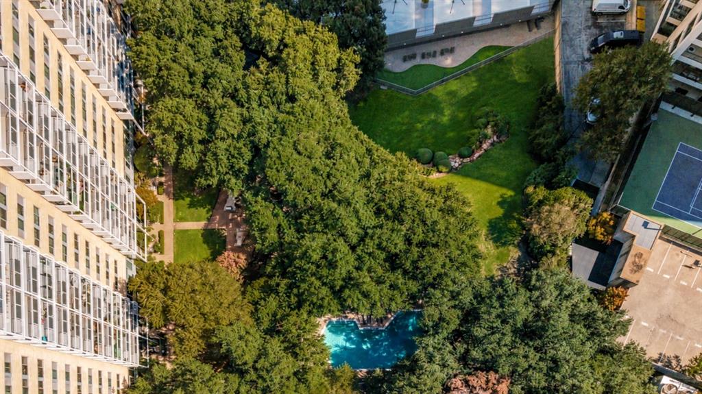 Aerial View of Pool and Grounds