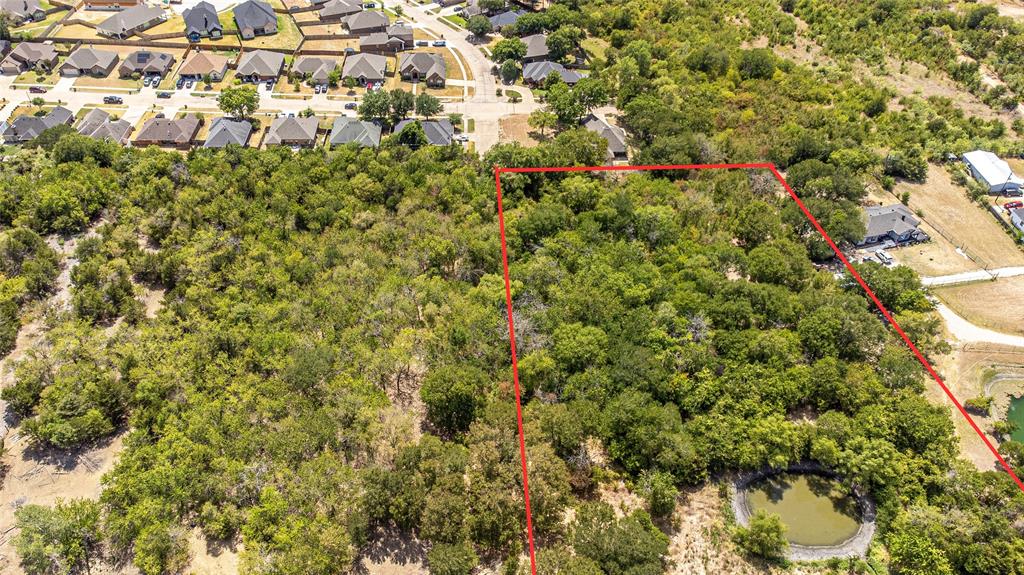Expansive parcel featuring dense mature tree cover, natural vegetation, and a private pond