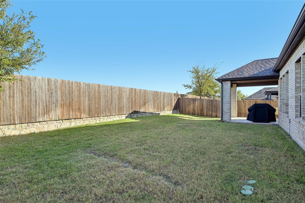 Big Back Yard