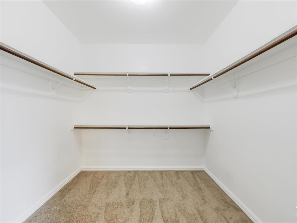 Walk-in closet featuring tiered shelving with integrated hanging rods and carpeted flooring