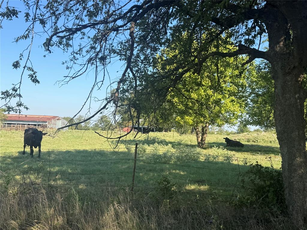 15575 County Road 116, Mabank, TX 75147