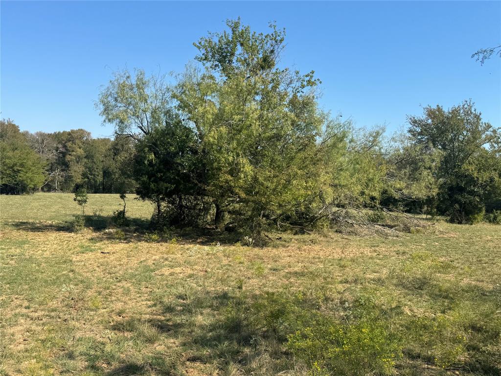 15575 County Road 116, Mabank, TX 75147