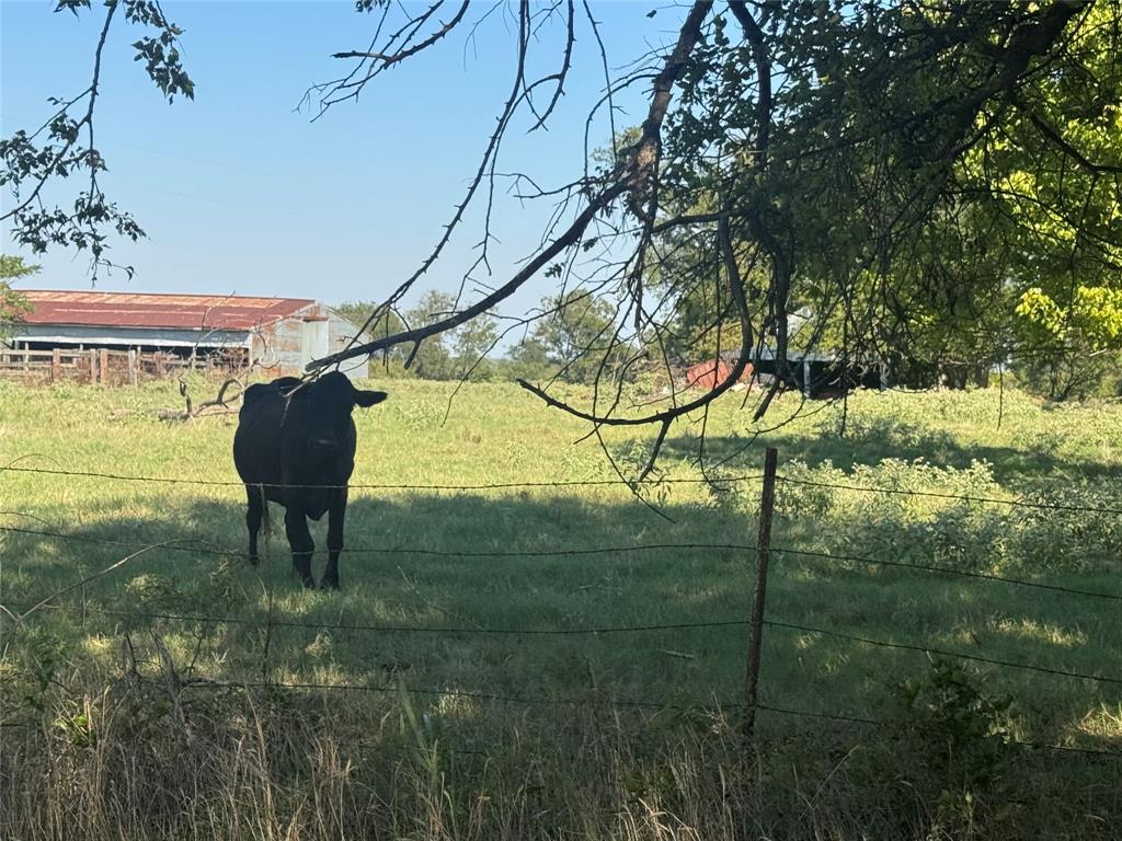 15575 County Road 116, Mabank, TX 75147