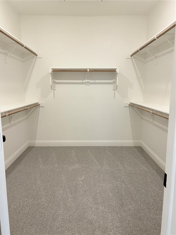 Walk-in closet featuring tiered white shelving and integrated hanging rods, finished with neutral wall-to-wall carpeting