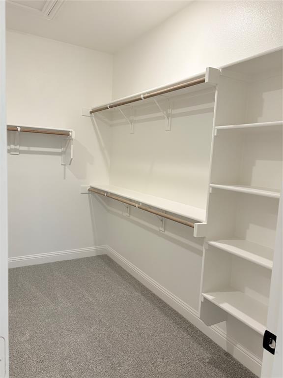 Walk-in closet featuring wall-to-wall carpeting, floor-to-ceiling built-in shelving, and dual-level hanging rods