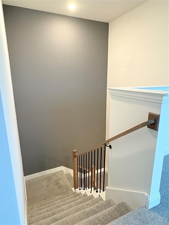 Staircase featuring wall-to-wall carpeting, wood-finish handrail, and matte black metal balusters