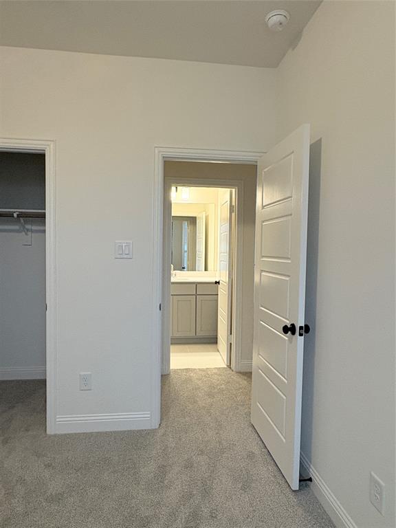 Four-panel interior door with matte black hardware, neutral wall-to-wall carpeting, and neutral wall palette