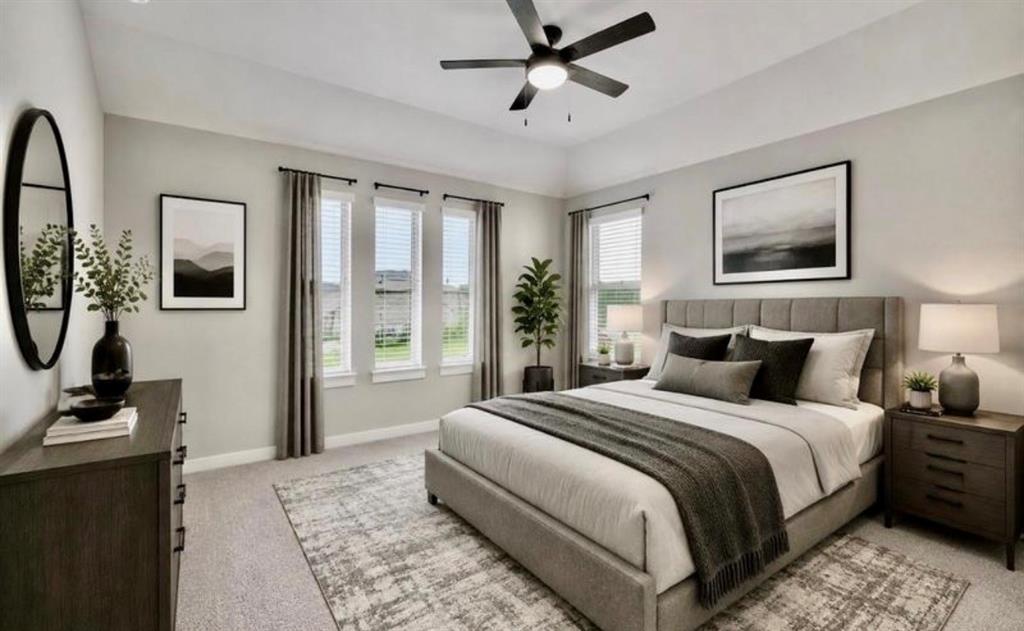 Tray ceiling, ceiling fan with integrated lighting, triple-pane window configuration, and neutral wall-to-wall carpeting