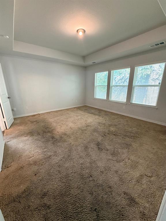 2516 Prickly Pine Trail, Fort Worth, TX 76123