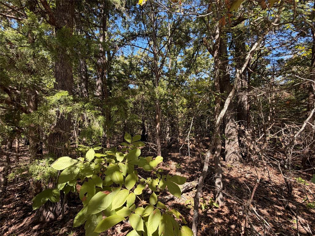 34730 County Road, Paris, TX 75473