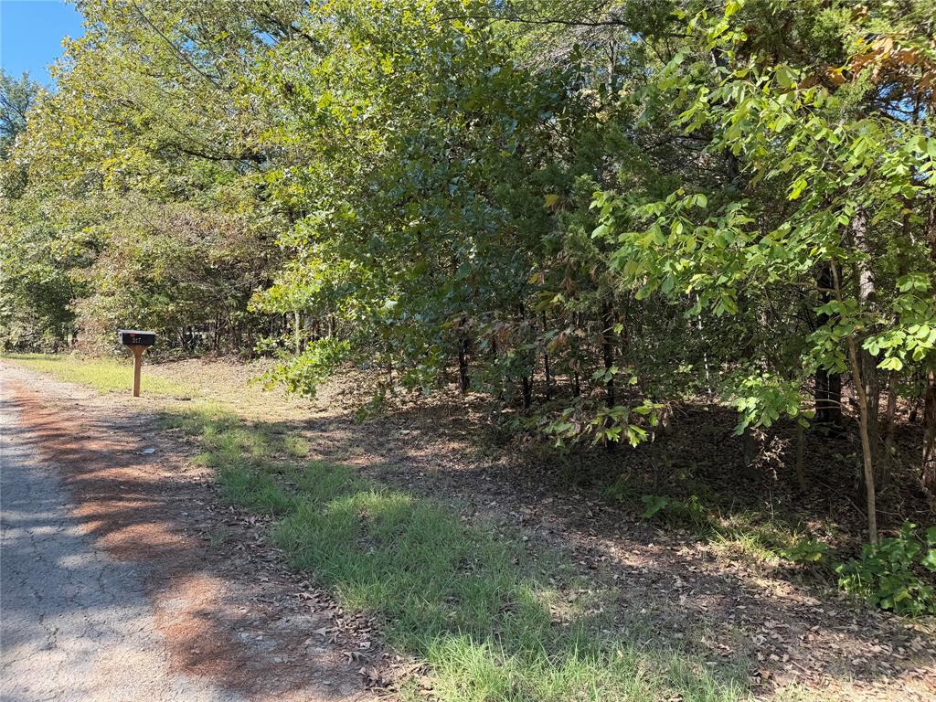 34730 County Road, Paris, TX 75473