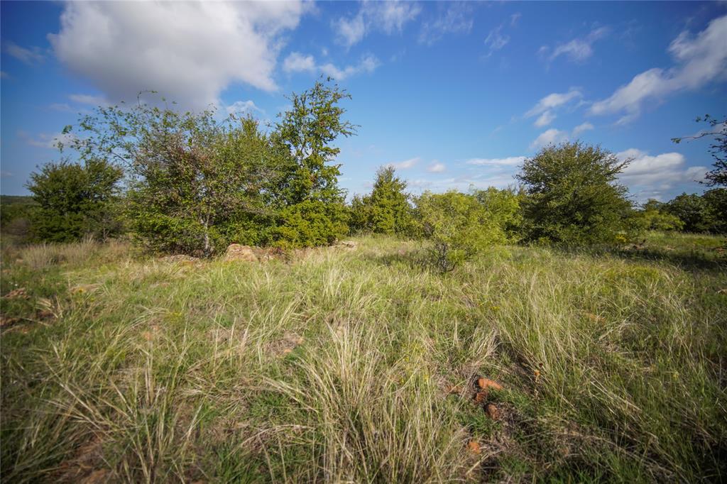 27.12 Acres 199 Highway, Jacksboro, TX 76458