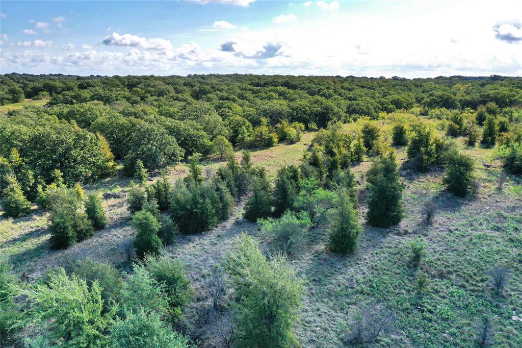 27.12 Acres 199 Highway, Jacksboro, TX 76458
