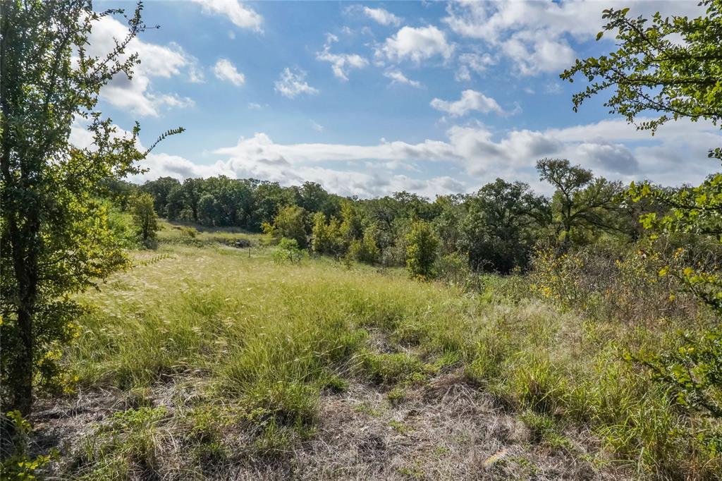 27.12 Acres 199 Highway, Jacksboro, TX 76458