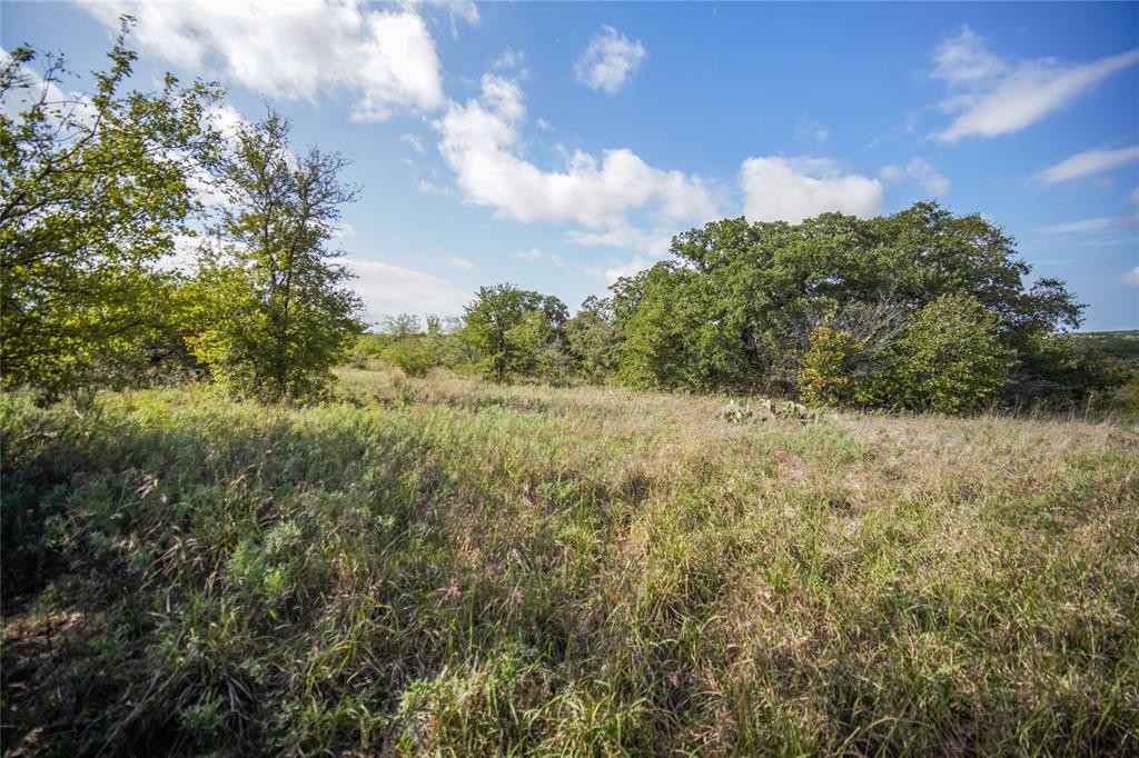 27.12 Acres 199 Highway, Jacksboro, TX 76458