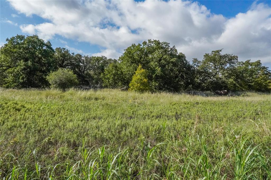 27.12 Acres 199 Highway, Jacksboro, TX 76458
