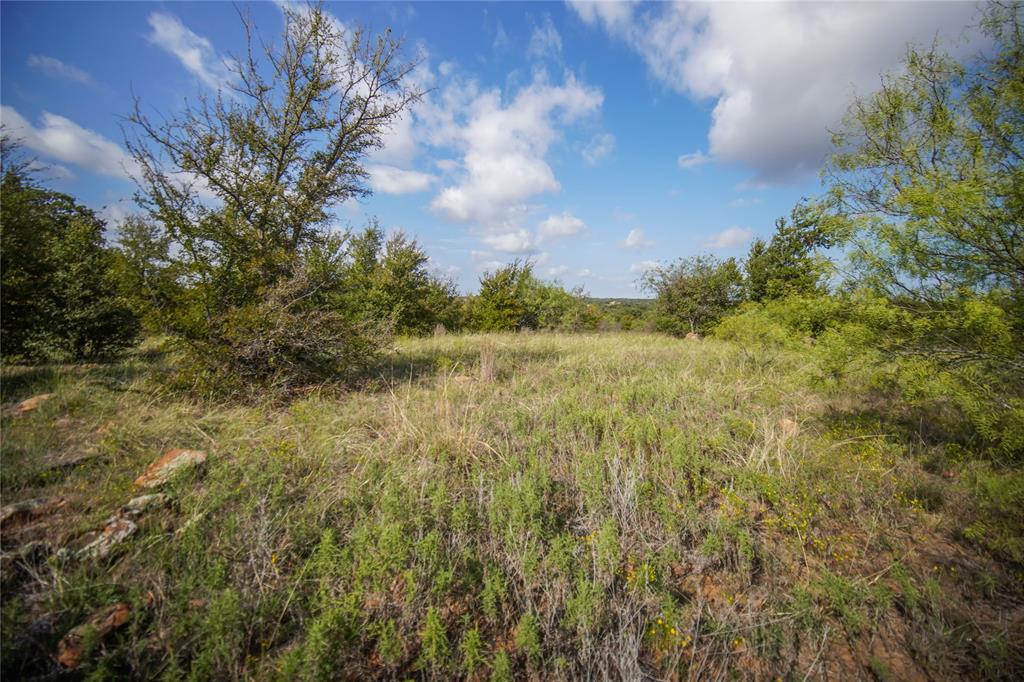 27.12 Acres 199 Highway, Jacksboro, TX 76458
