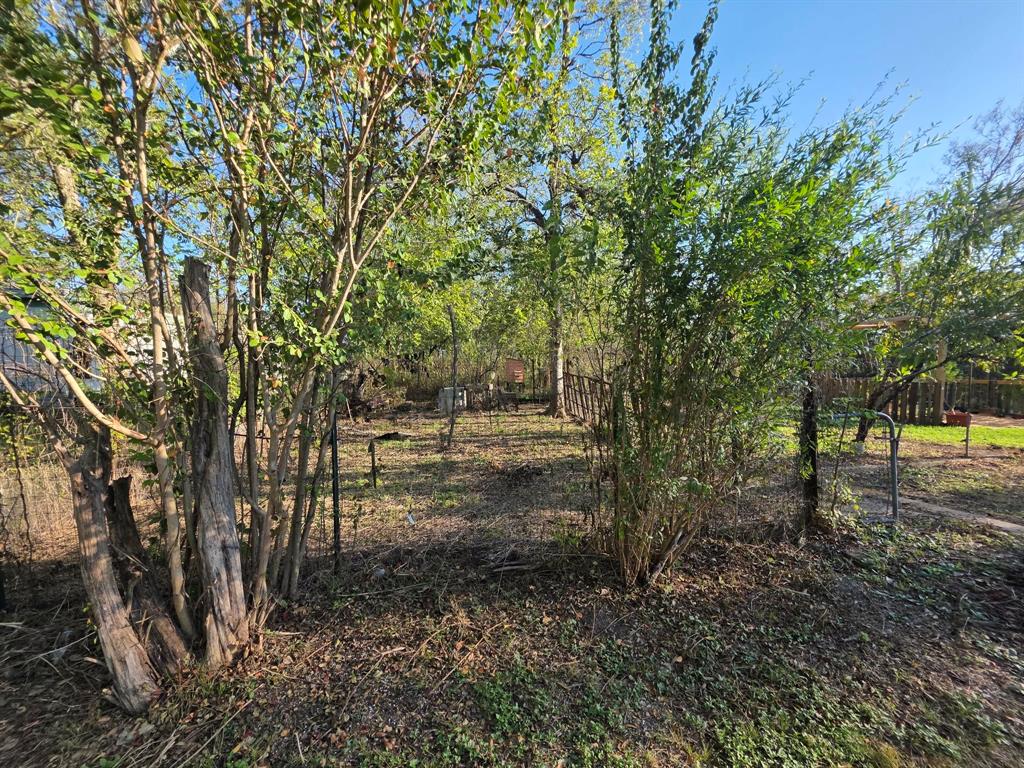 713 W Fannin, Mexia, TX 76667