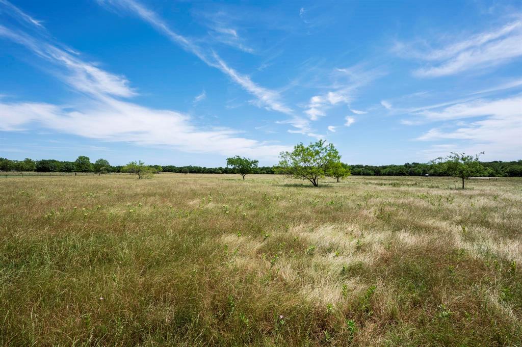 Expansive acreage featuring natural grasses, mature trees, and a tree-lined perimeter