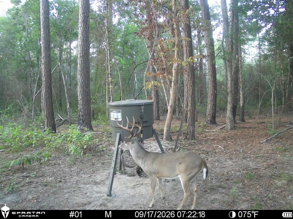 0 CR 2016, Newton, TX 75966