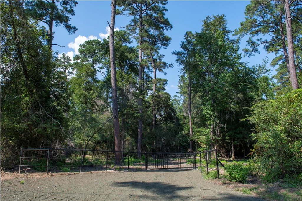 0 CR 2016, Newton, TX 75966