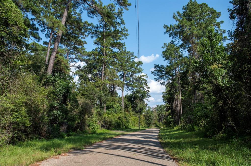 0 CR 2016, Newton, TX 75966