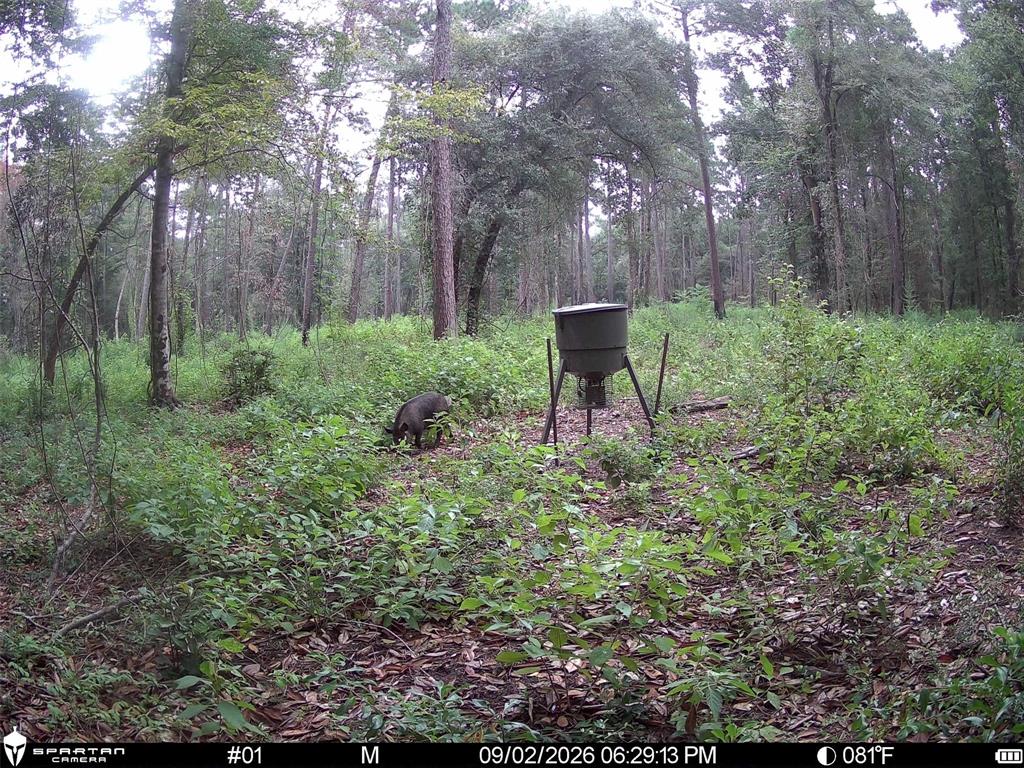 0 CR 2016, Newton, TX 75966