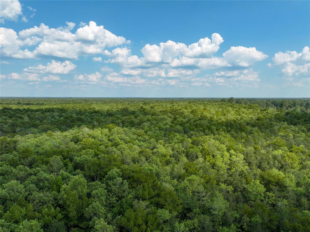 0 CR 2016, Newton, TX 75966