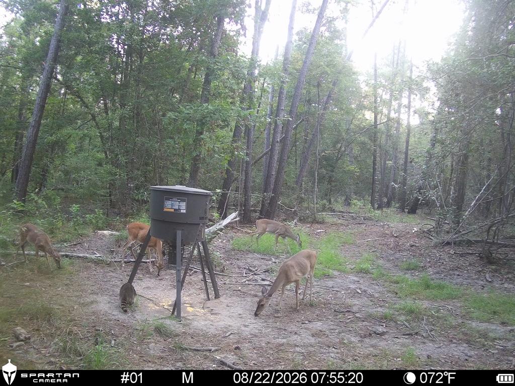0 CR 2016, Newton, TX 75966