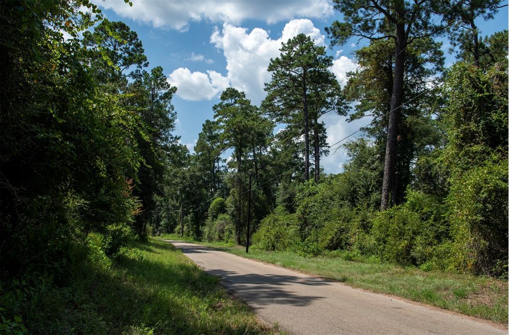 0 CR 2016, Newton, TX 75966