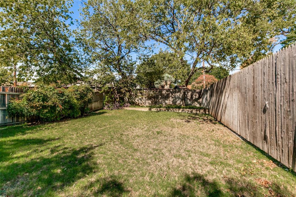 Backyard space