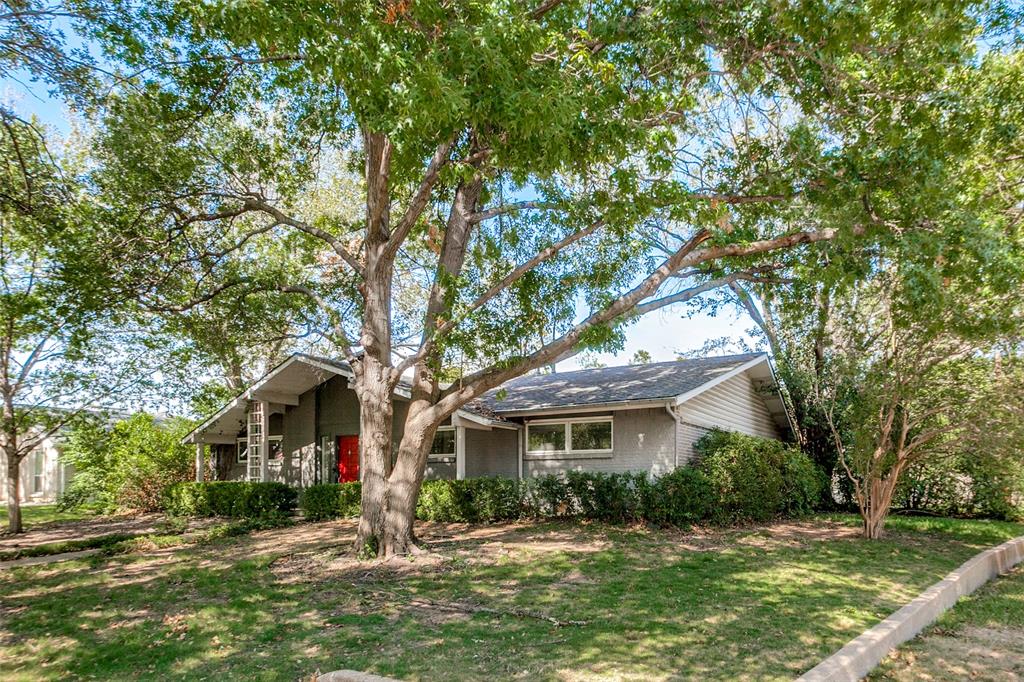 Incredible corner lot with a canopy of mature trees.
