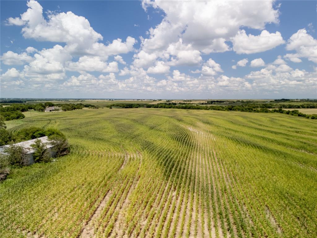 View of rural area featuring rows of crops