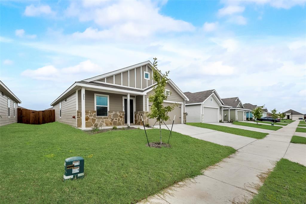 205 Jasmine Drive, Princeton, TX 75407