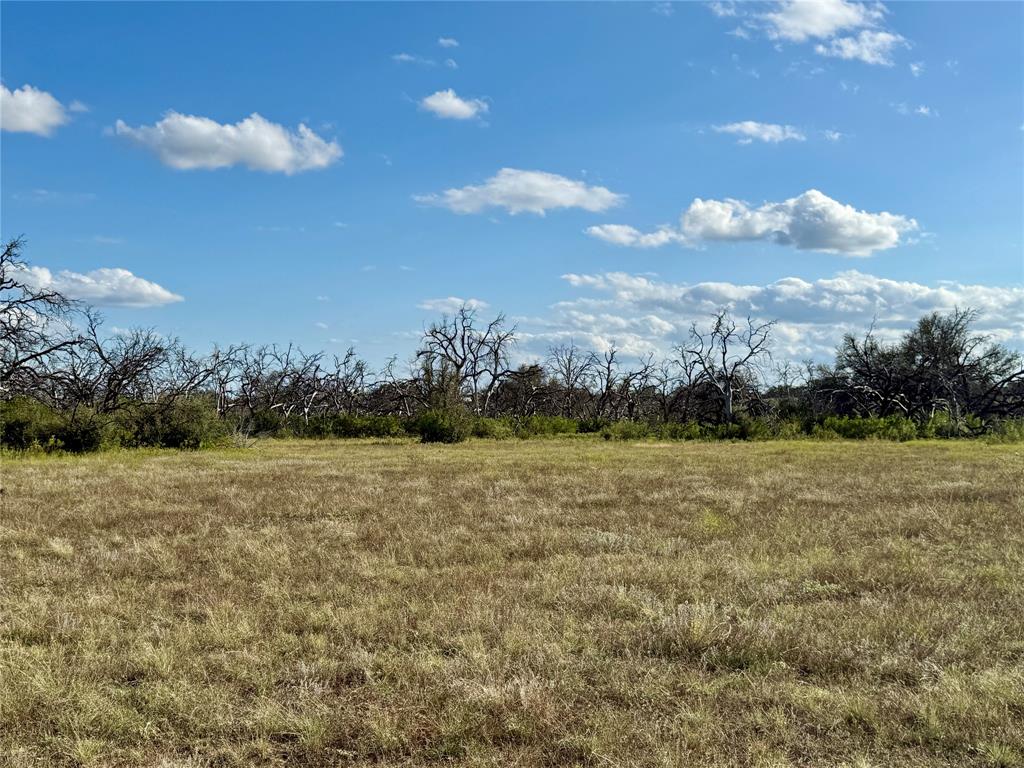 TBD CR 255, Blanket, TX 76432