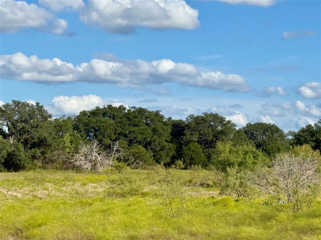 TBD CR 255, Blanket, TX 76432