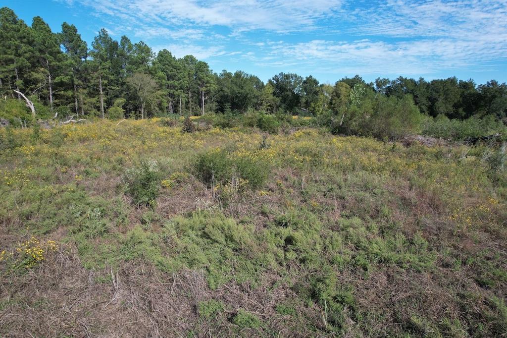 1184 S Fairway Street, Fairfield, TX 75840