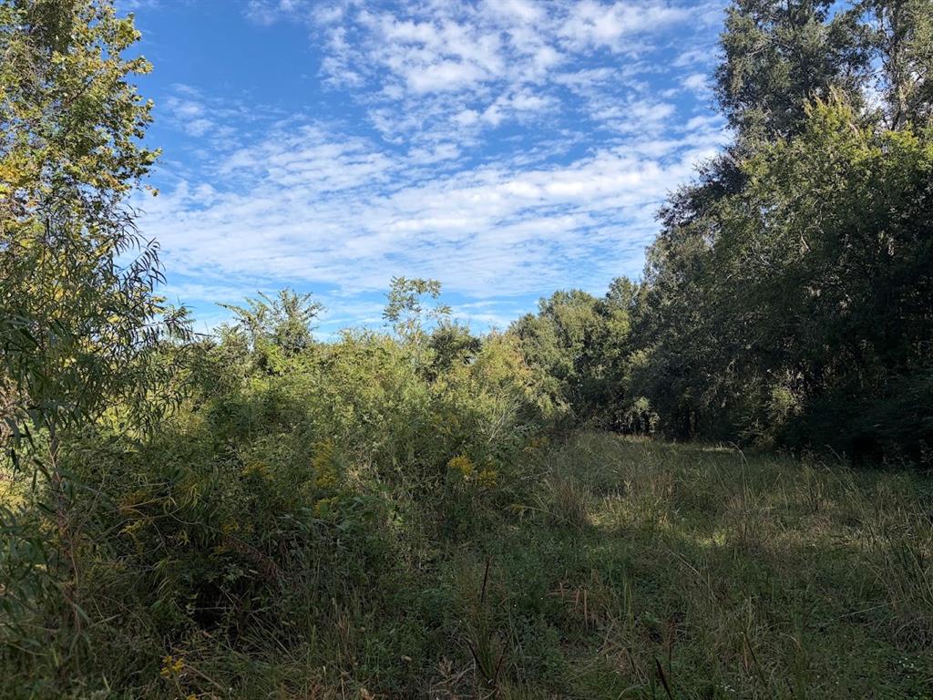 1184 S Fairway Street, Fairfield, TX 75840