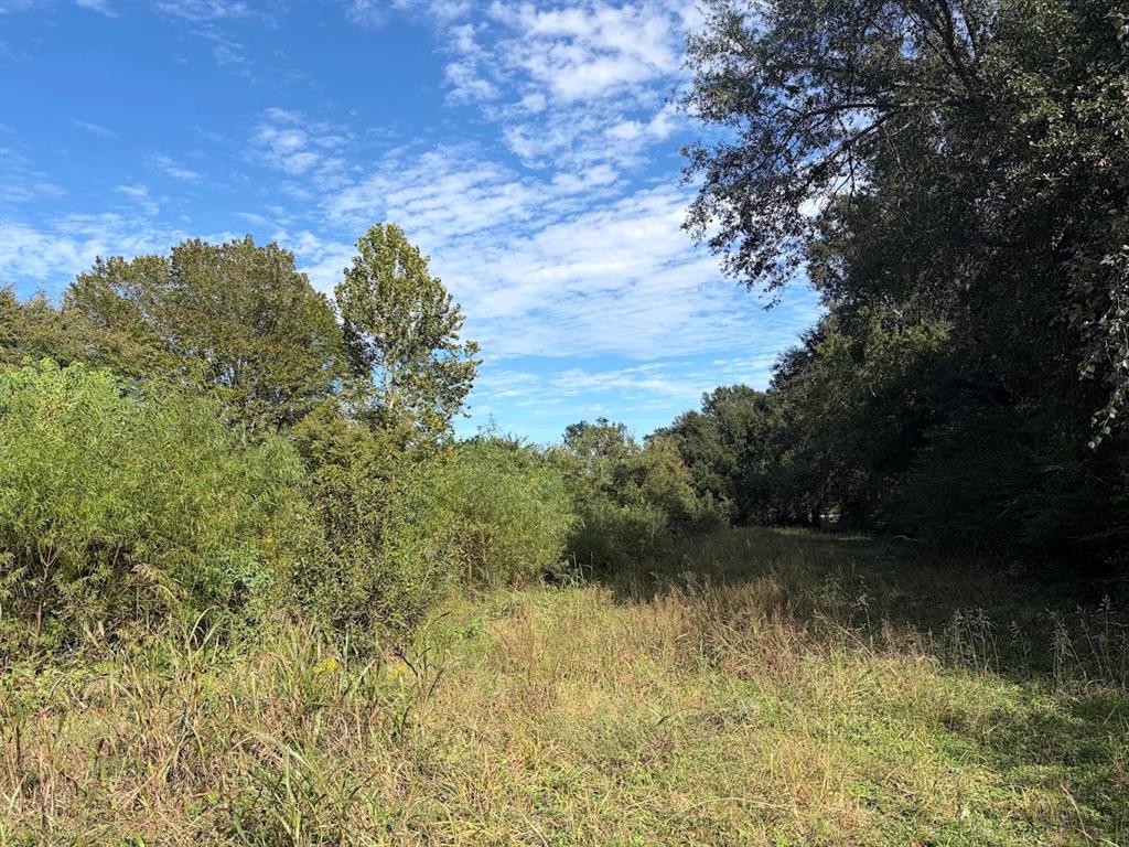 1184 S Fairway Street, Fairfield, TX 75840