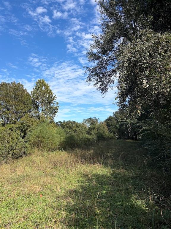 1184 S Fairway Street, Fairfield, TX 75840
