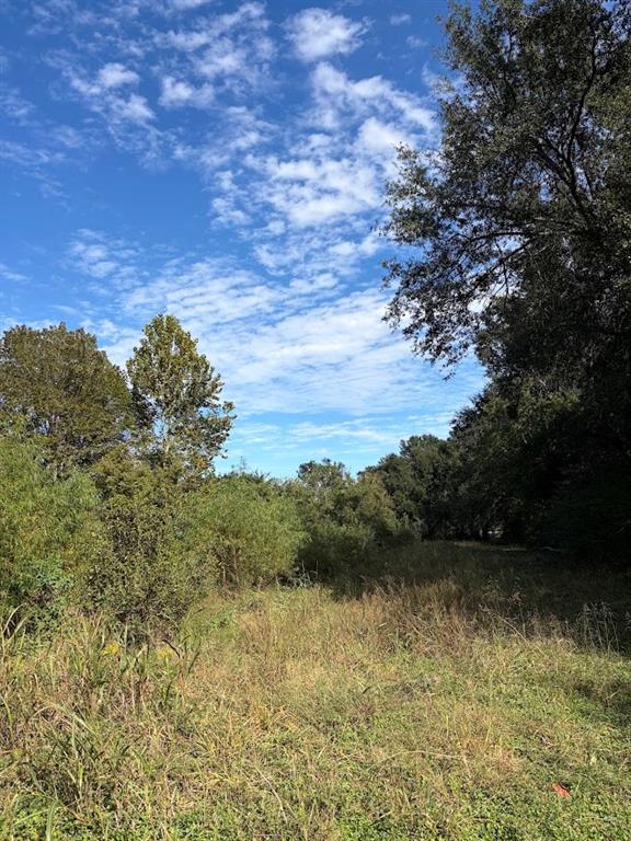 1184 S Fairway Street, Fairfield, TX 75840