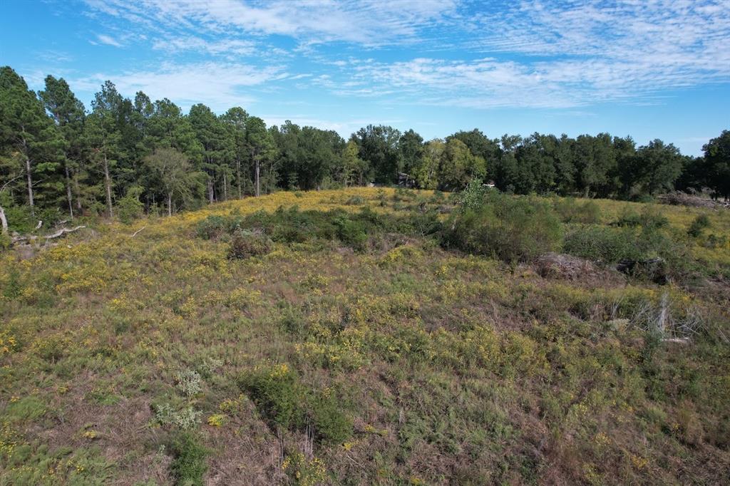 1184 S Fairway Street, Fairfield, TX 75840